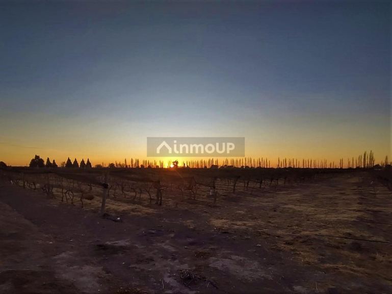 Finca en Venta en San Rafael, Mendoza