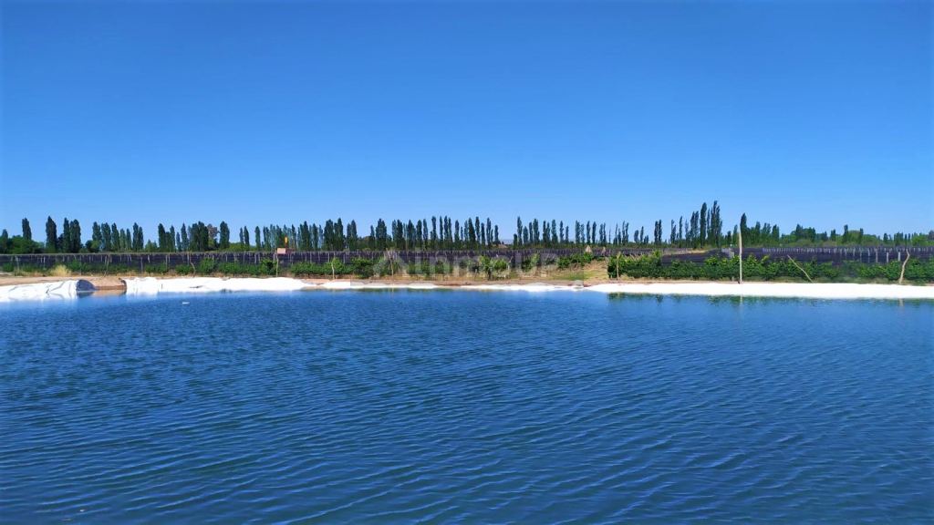 Finca en Venta en San Rafael, Mendoza