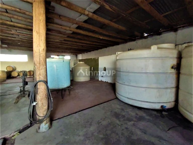 Finca en Venta en San Rafael, Mendoza