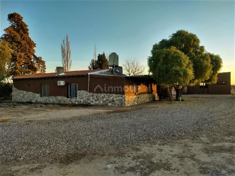 Finca en Venta en San Rafael, Mendoza