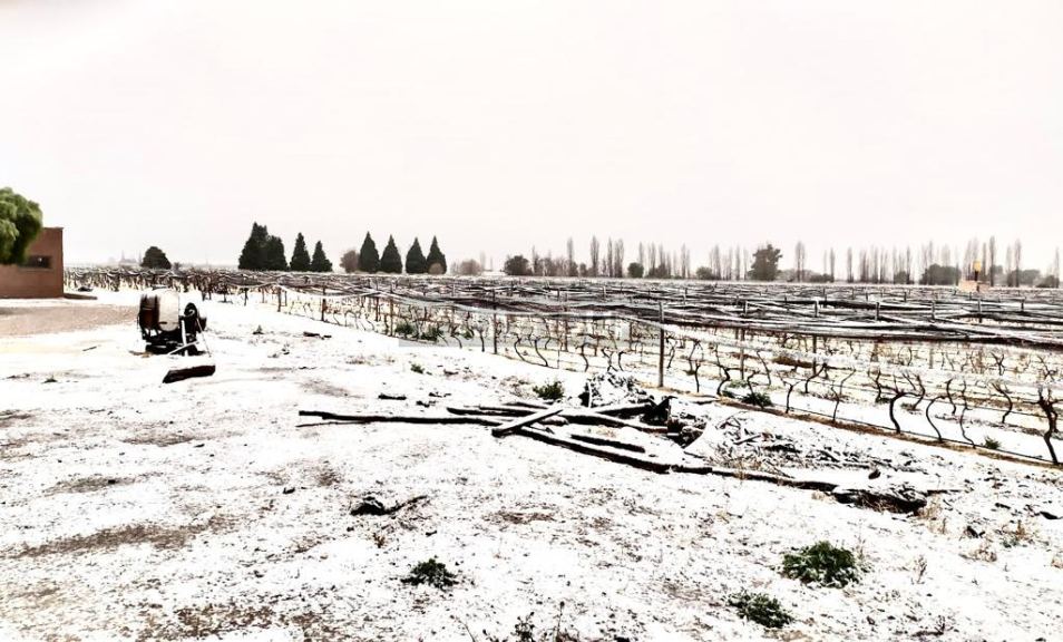 Finca en Venta en San Rafael, Mendoza