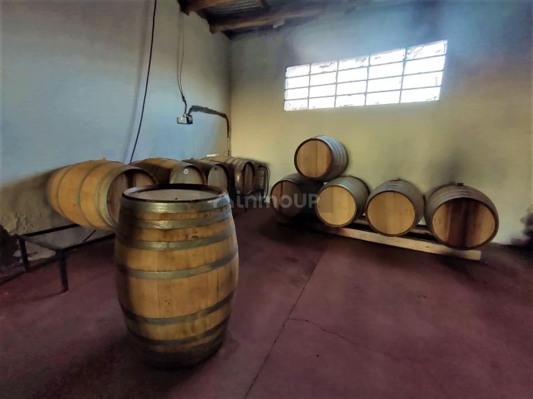 Finca en Venta en San Rafael, Mendoza