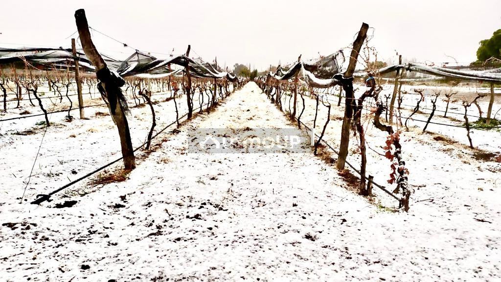 Finca en Venta en San Rafael, Mendoza