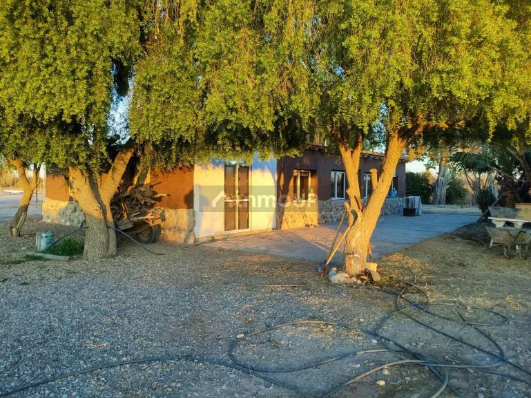 Finca en Venta en San Rafael, Mendoza
