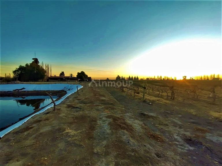 Finca en Venta en San Rafael, Mendoza