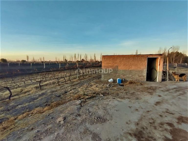 Finca en Venta en San Rafael, Mendoza