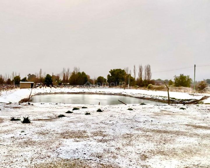 Finca en Venta en San Rafael, Mendoza