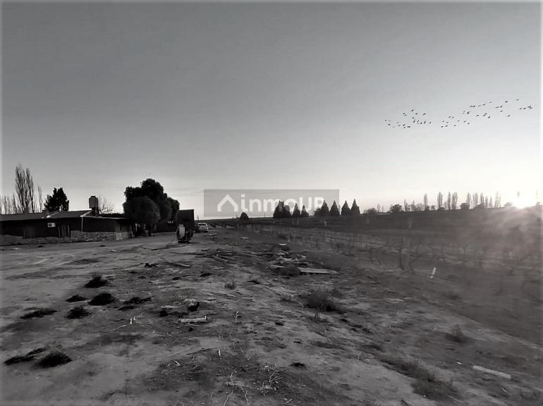 Finca en Venta en San Rafael, Mendoza