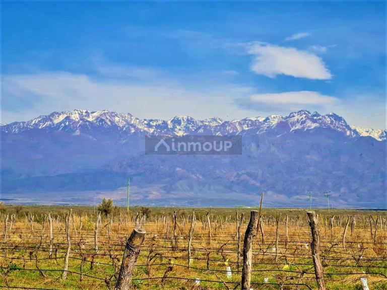 Finca en Venta en Tunuyan, Mendoza