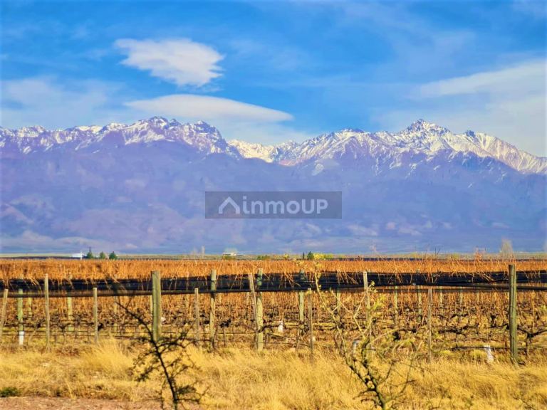 Finca en Venta en Tunuyan, Mendoza