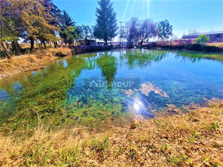 Finca en Venta en Tunuyan, Mendoza