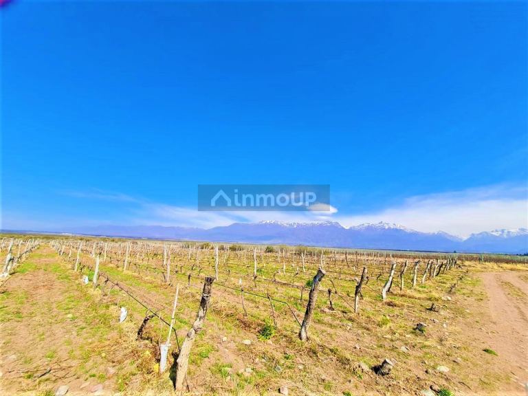 Finca en Venta en Tunuyan, Mendoza