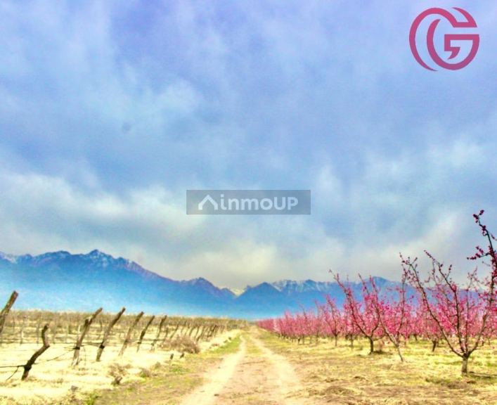 Finca en Venta en Tunuyan, Mendoza
