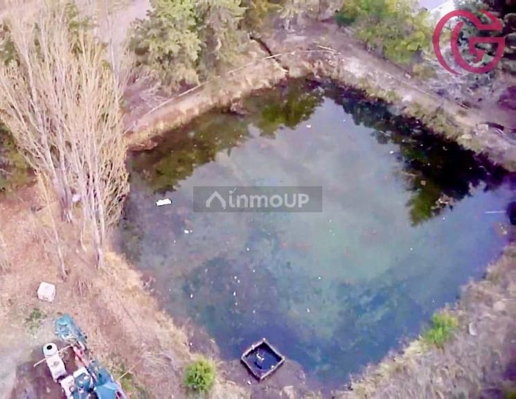 Finca en Venta en Tunuyan, Mendoza