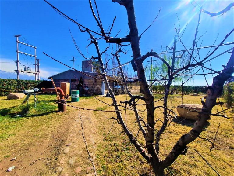 Finca en Venta en Tunuyan, Mendoza