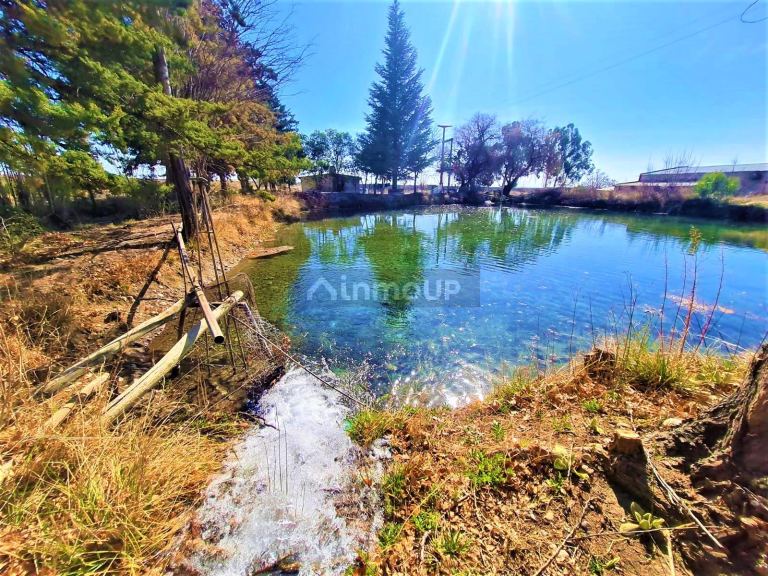 Finca en Venta en Tunuyan, Mendoza
