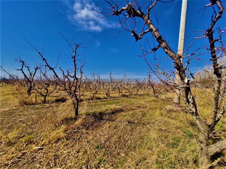 Finca en Venta en Tunuyan, Mendoza