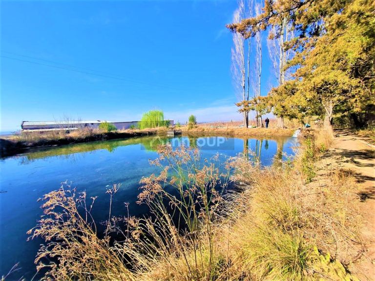 Finca en Venta en Tunuyan, Mendoza