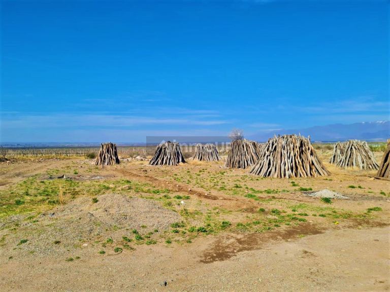 Finca en Venta en Tunuyan, Mendoza