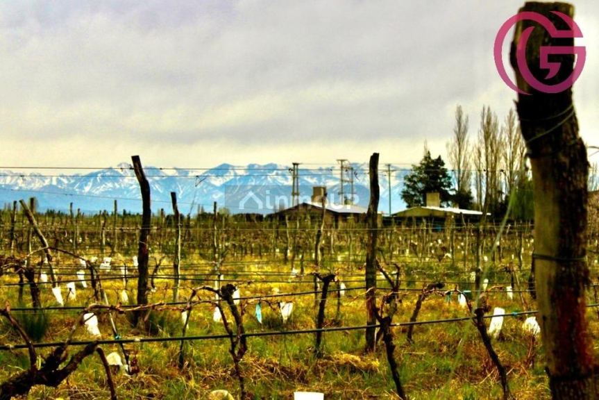 Finca en Venta en Tunuyan, Mendoza