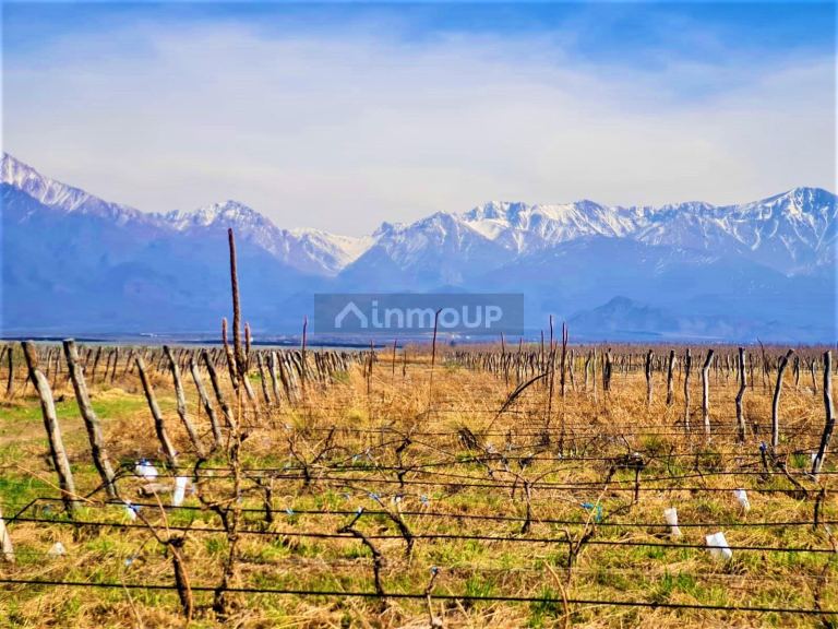 Finca en Venta en Tunuyan, Mendoza