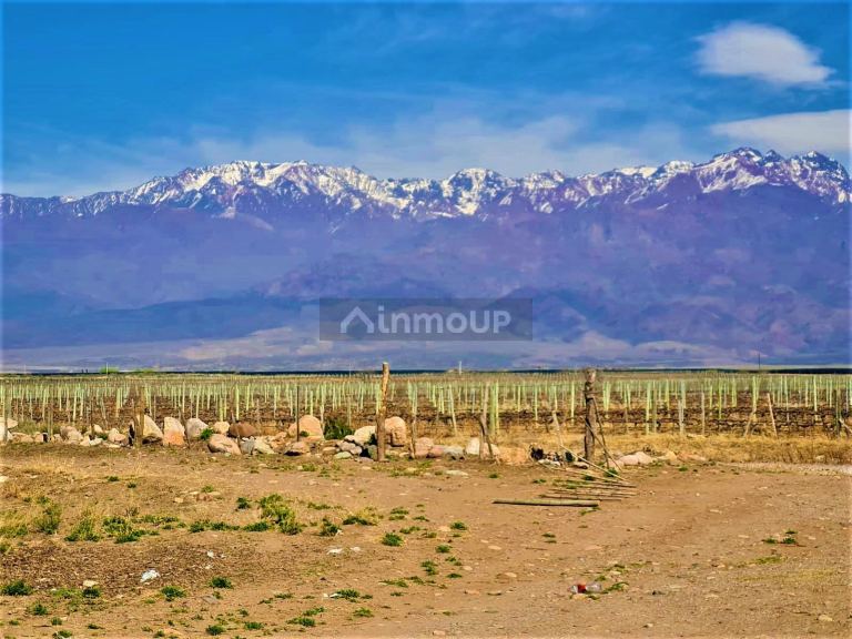 Finca en Venta en Tunuyan, Mendoza