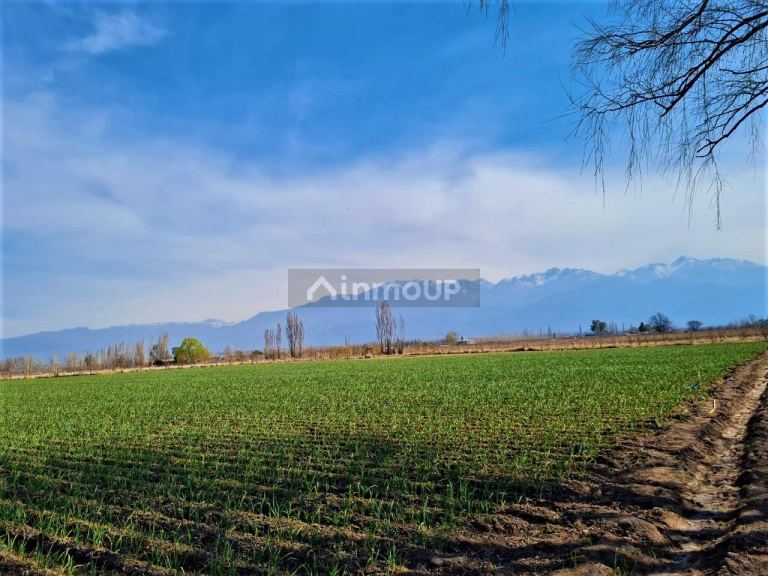 Finca en Venta en Tunuyan, Mendoza