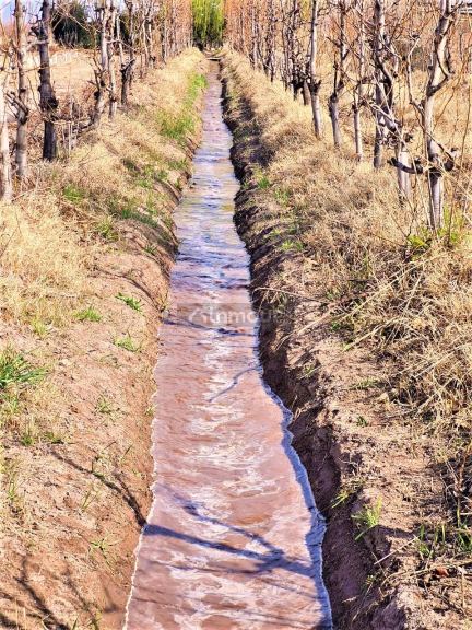 Finca en Venta en Tunuyan, Mendoza