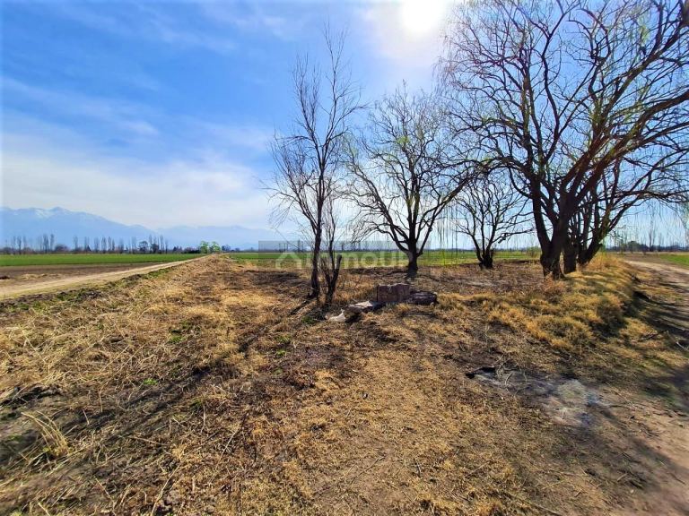 Finca en Venta en Tunuyan, Mendoza