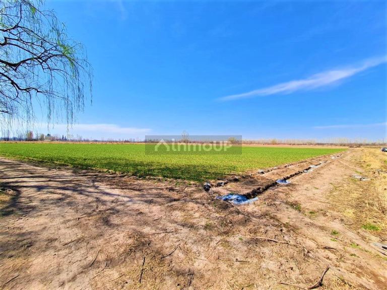 Finca en Venta en Tunuyan, Mendoza
