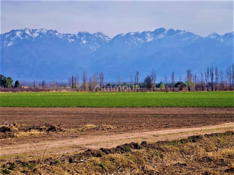Finca en Venta en Tunuyan, Mendoza
