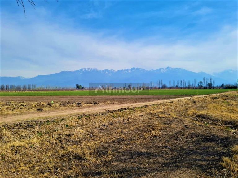 Finca en Venta en Tunuyan, Mendoza