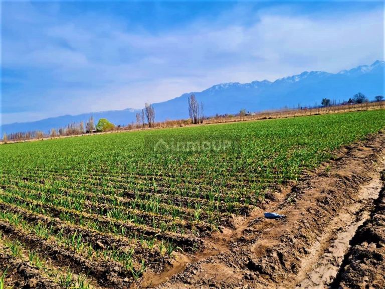 Finca en Venta en Tunuyan, Mendoza