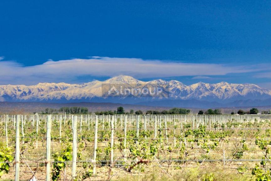 Finca en Venta en Lujan de Cuyo, Mendoza