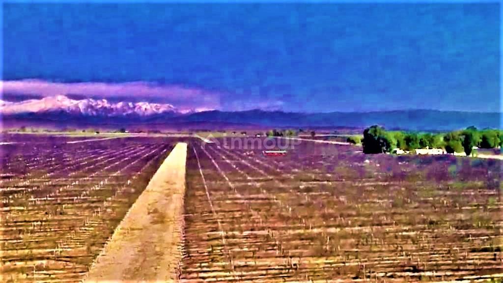 Finca en Venta en Lujan de Cuyo, Mendoza