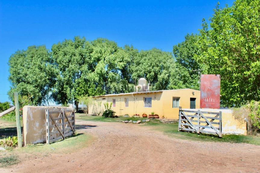 Finca en Venta en Lujan de Cuyo, Mendoza