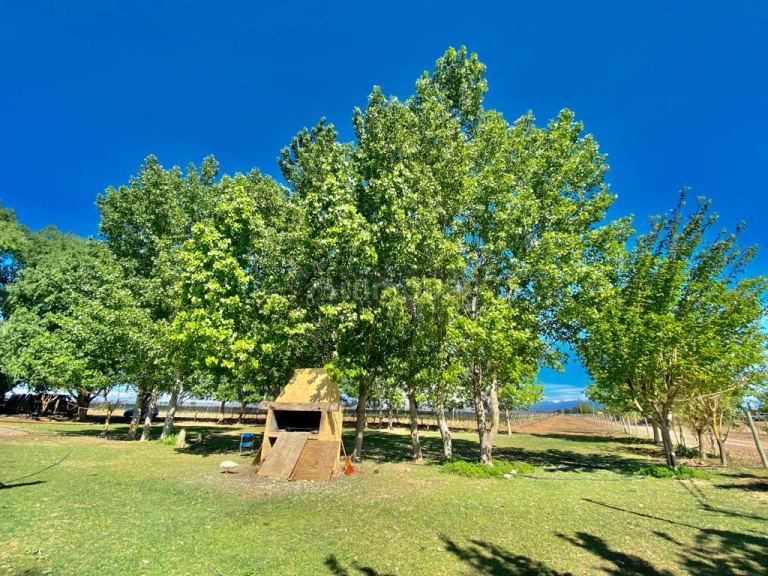 Finca en Venta en Lujan de Cuyo, Mendoza