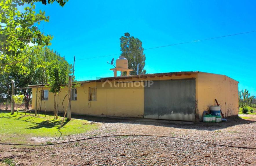 Finca en Venta en Lujan de Cuyo, Mendoza