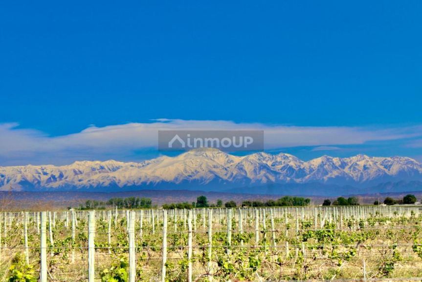 Finca en Venta en Lujan de Cuyo, Mendoza