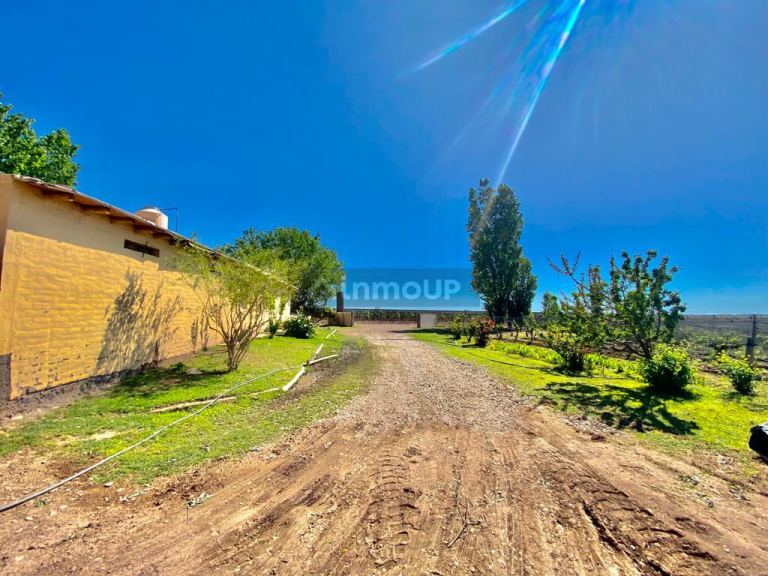 Finca en Venta en Lujan de Cuyo, Mendoza