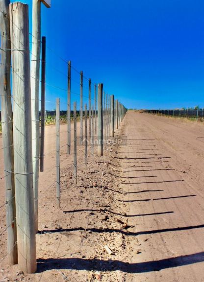 Finca en Venta en Lujan de Cuyo, Mendoza