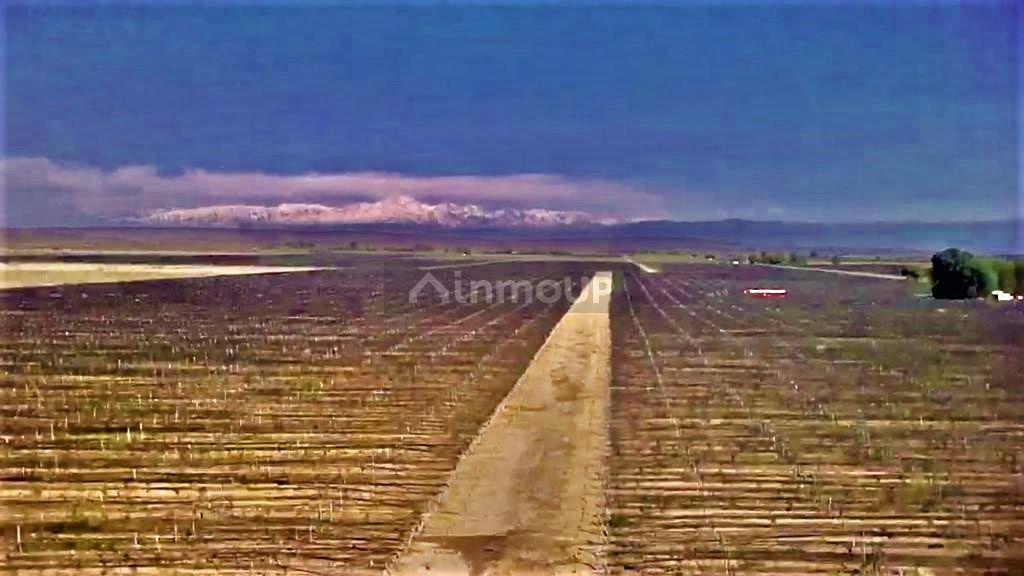Finca en Venta en Lujan de Cuyo, Mendoza