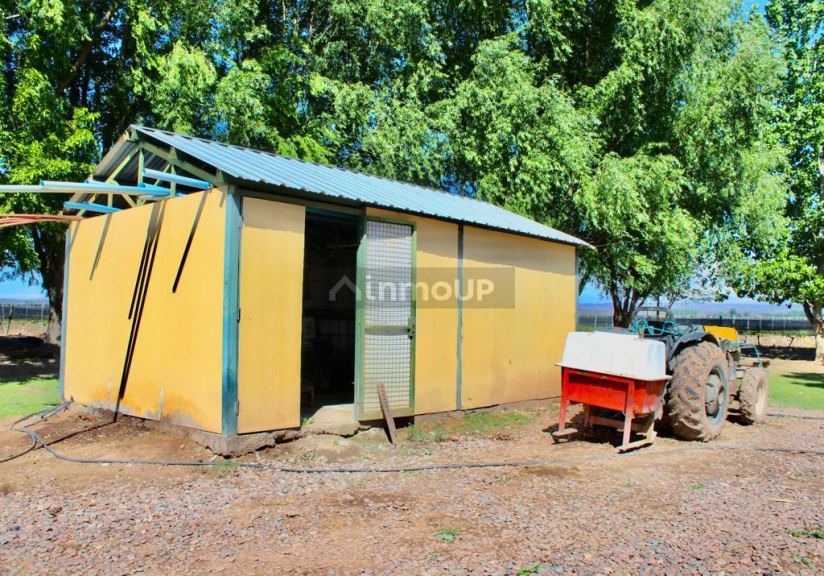 Finca en Venta en Lujan de Cuyo, Mendoza