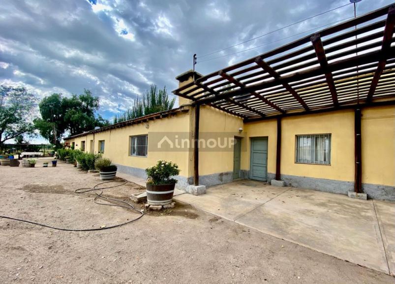 Viñedo en Venta en Tunuyan, Mendoza