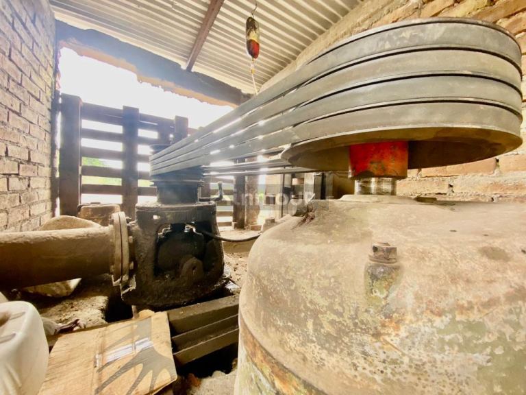 Viñedo en Venta en Tunuyan, Mendoza