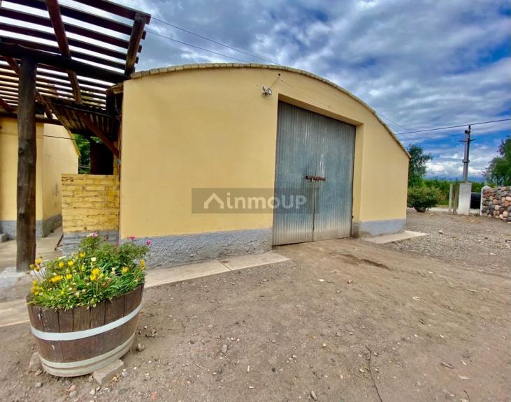 Viñedo en Venta en Tunuyan, Mendoza