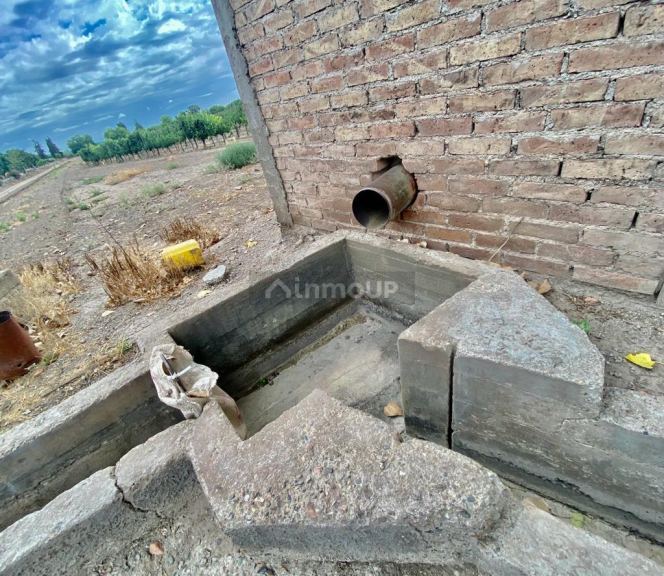 Viñedo en Venta en Tunuyan, Mendoza