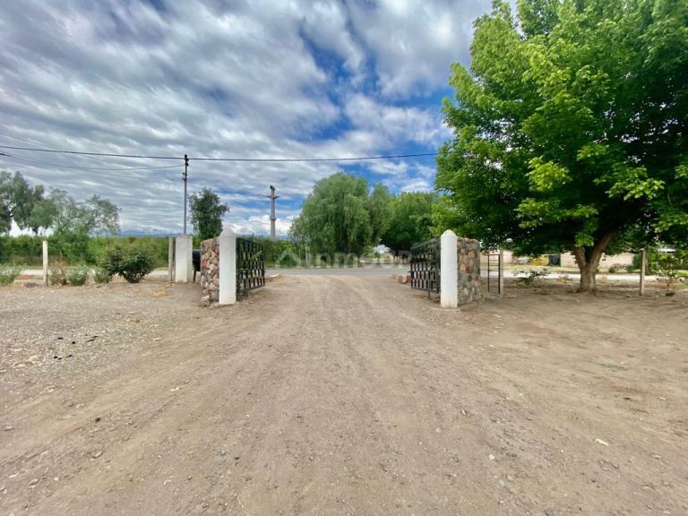Viñedo en Venta en Tunuyan, Mendoza