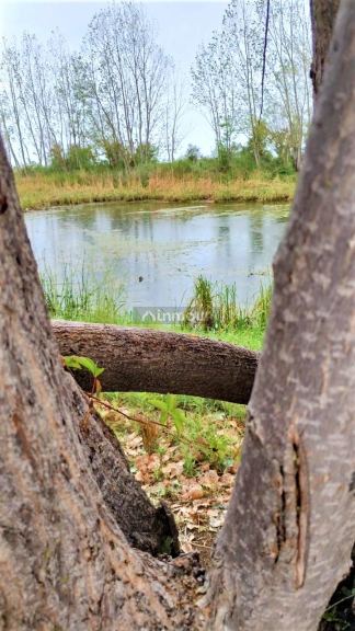 Finca en Venta en San Martin, Mendoza