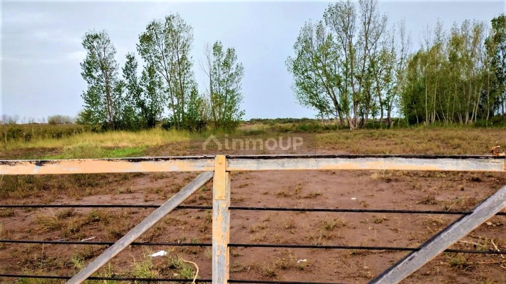 Finca en Venta en San Martin, Mendoza